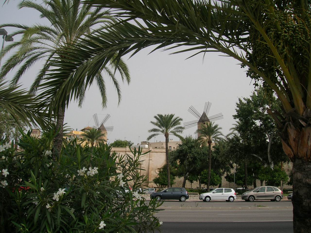 Palma de Mallorca